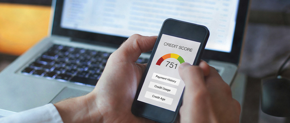 Checking Credit Score